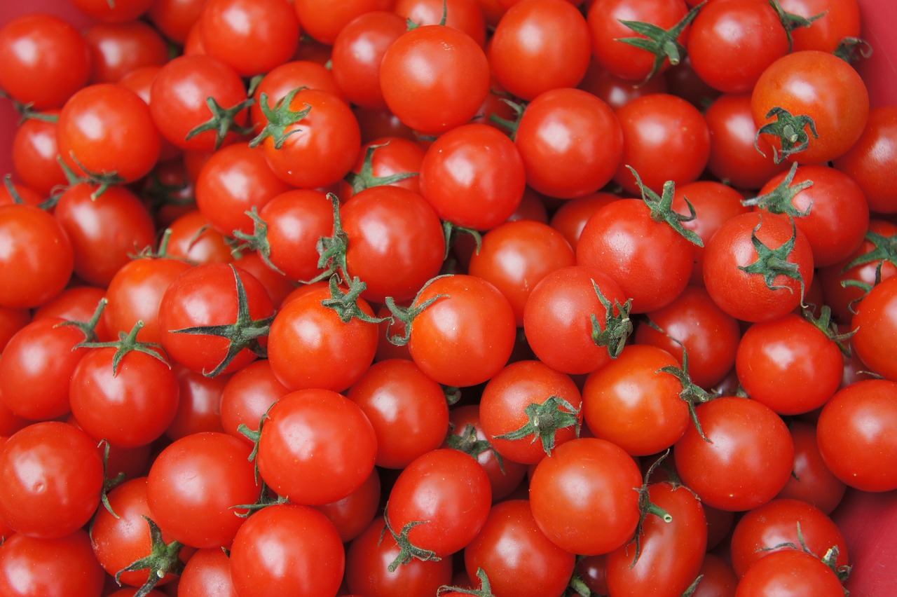 Tomate: um mergulho nos benefícios da superfruta